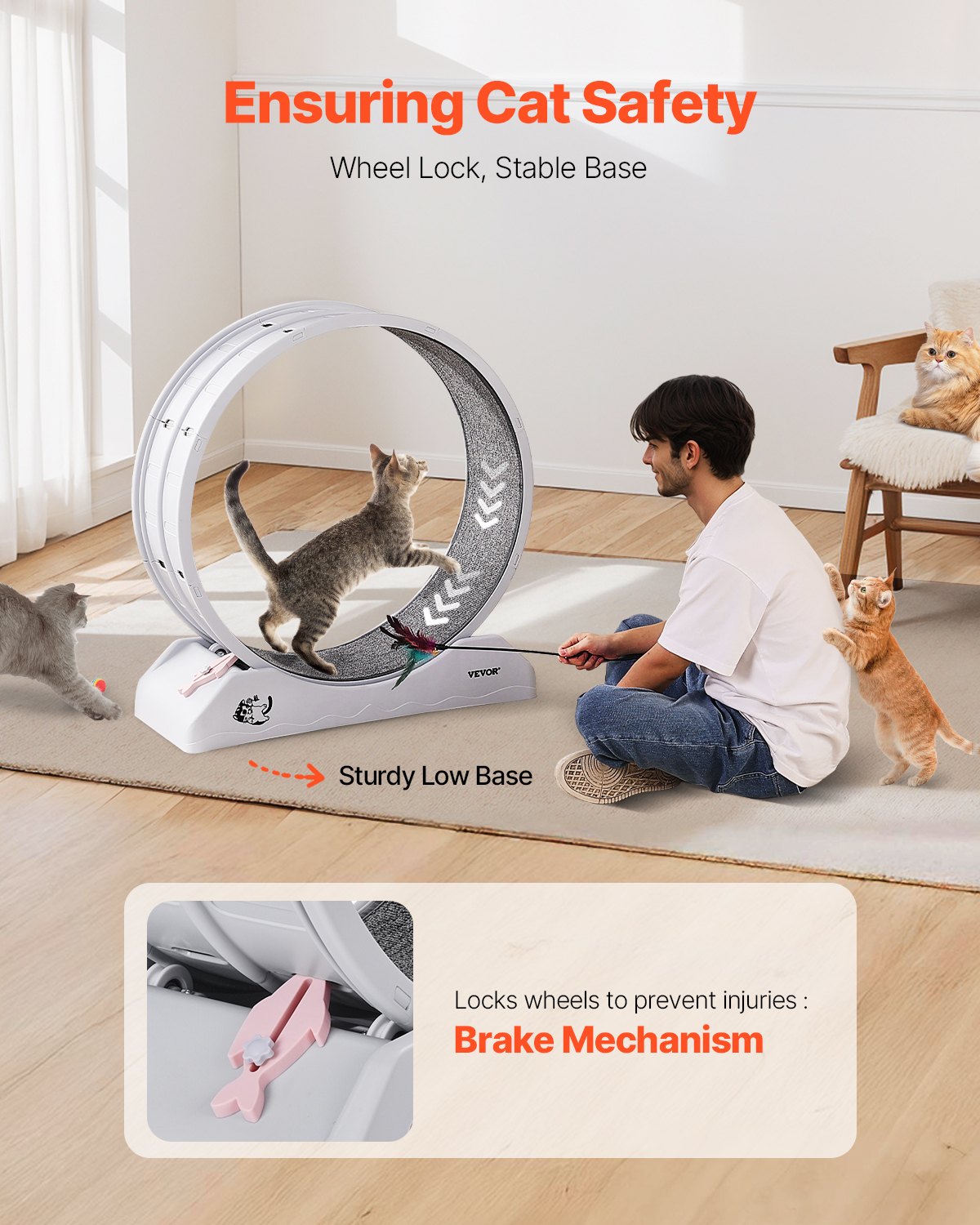 Cat Exercise Wheel, 31.5 in, Large Cat Running Wheel with Secure Brake & Carpeted Runway, Quiet Operation Cat V952-SLMPBJBSPP31K33DZV0