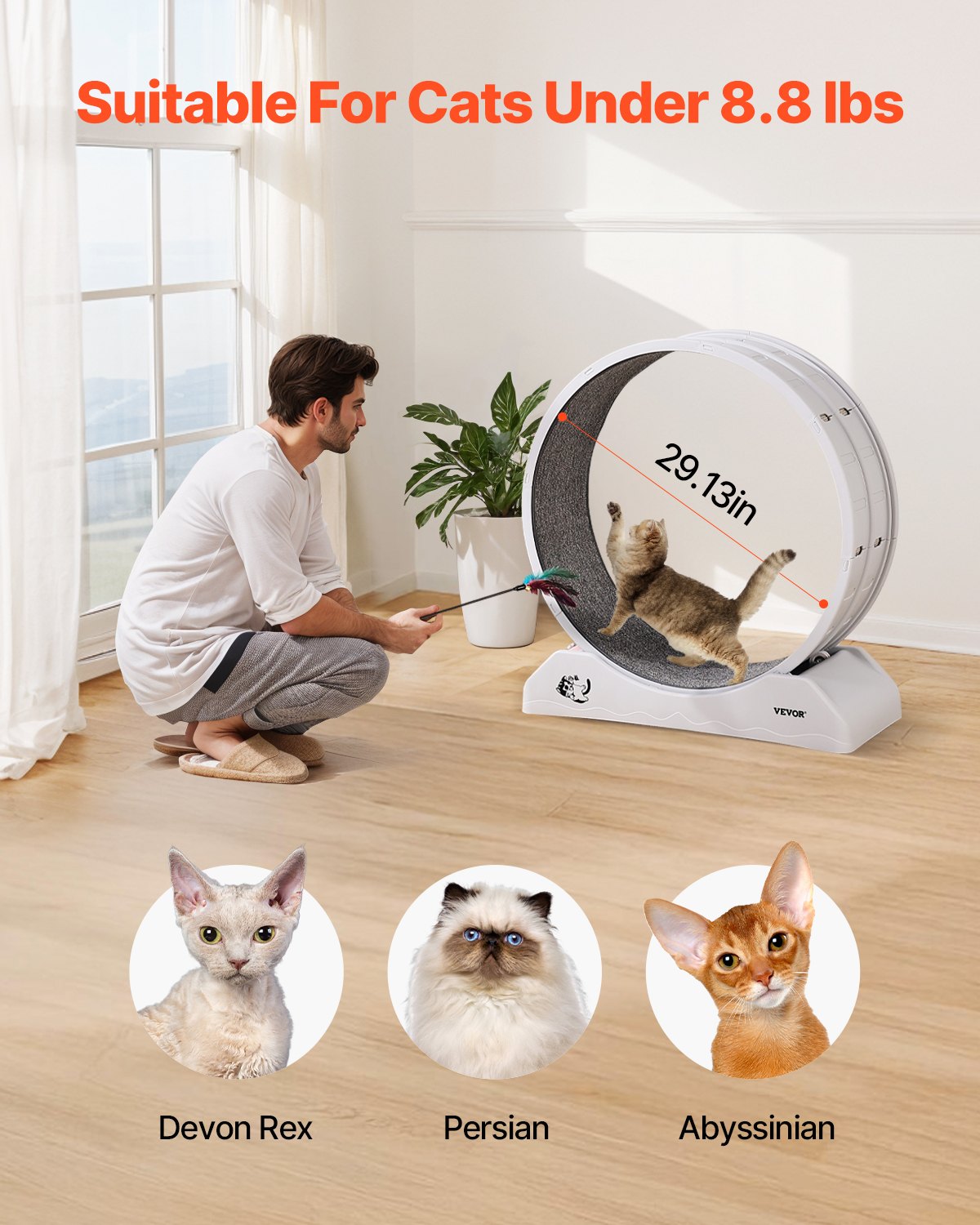 Cat Exercise Wheel, 31.5 in, Large Cat Running Wheel with Secure Brake & Carpeted Runway, Quiet Operation Cat V952-SLMPBJBSPP31K33DZV0