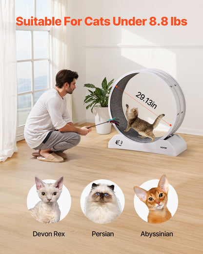 Cat Exercise Wheel, 31.5 in, Large Cat Running Wheel with Secure Brake & Carpeted Runway, Quiet Operation Cat V952-SLMPBJBSPP31K33DZV0