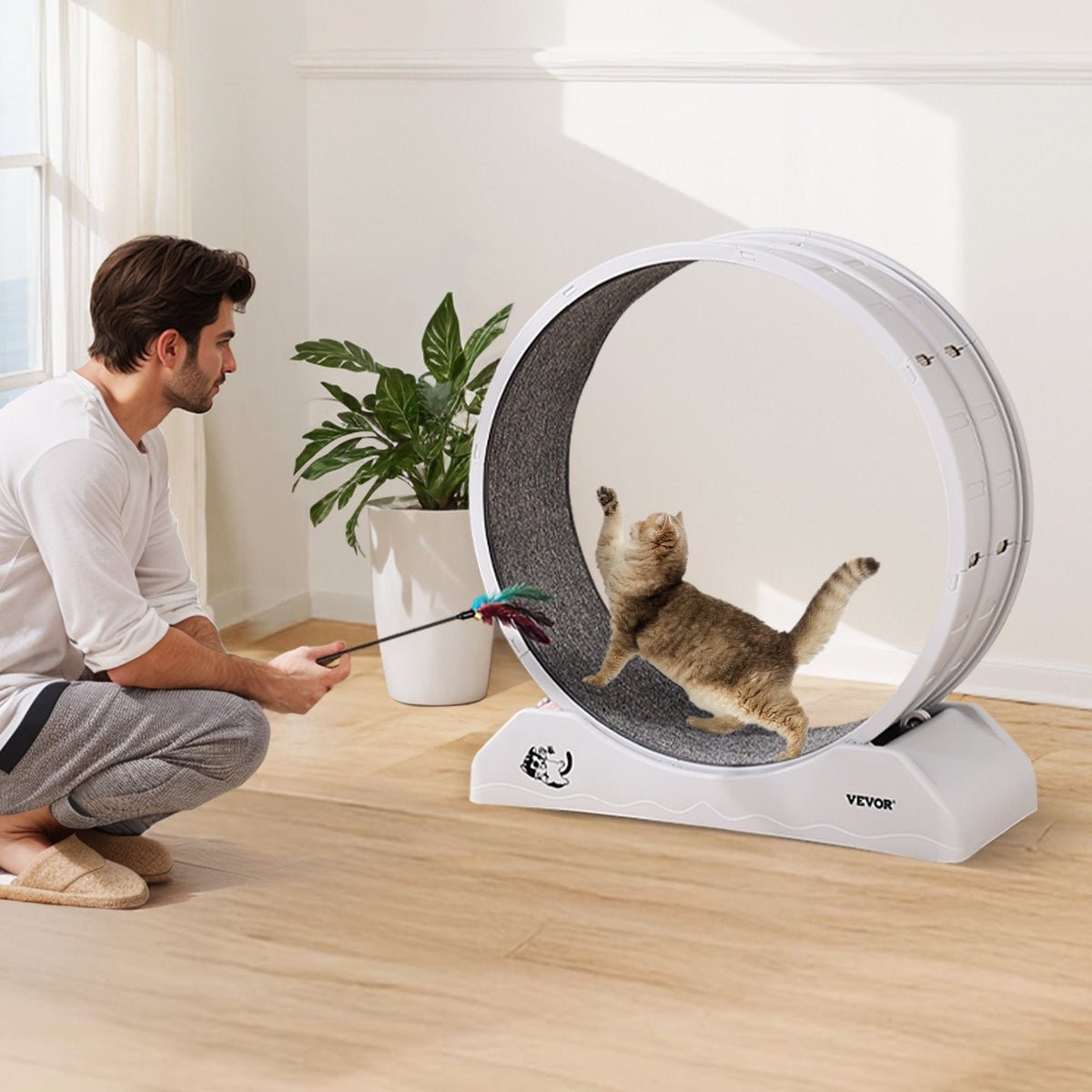 Cat Exercise Wheel, 31.5 in, Large Cat Running Wheel with Secure Brake & Carpeted Runway, Quiet Operation Cat V952-SLMPBJBSPP31K33DZV0