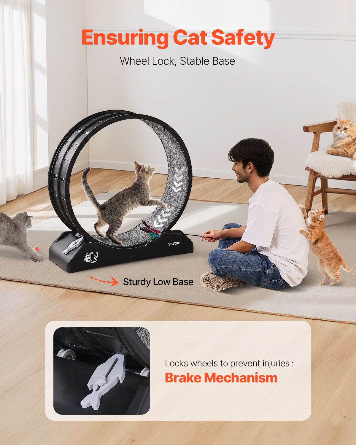 Cat Exercise Wheel, 31.5 in, Large Cat Running Wheel with Secure Brake & Carpeted Runway, Quiet Operation Cat V952-SLMPBJHSPP315IBR5V0