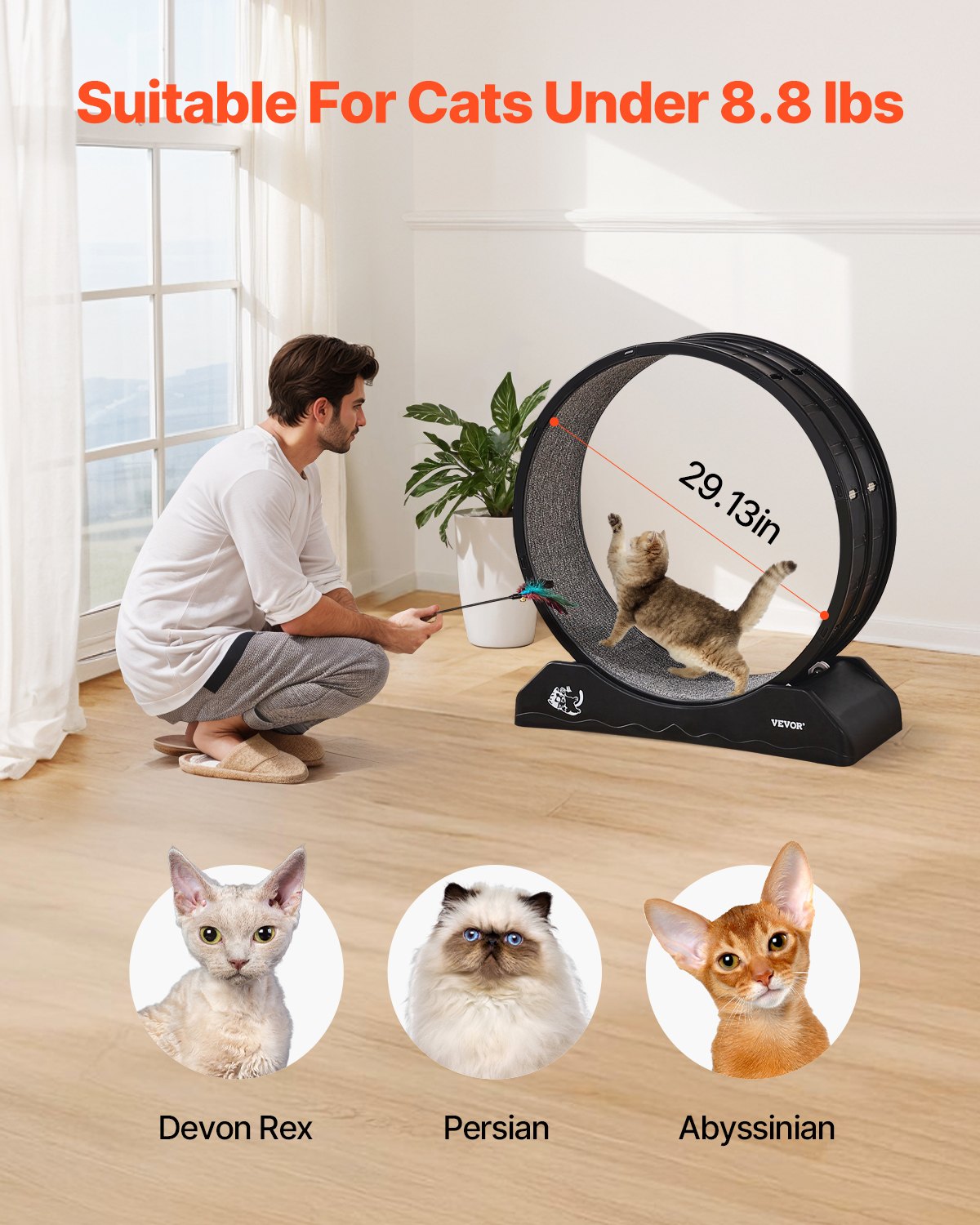 Cat Exercise Wheel, 31.5 in, Large Cat Running Wheel with Secure Brake & Carpeted Runway, Quiet Operation Cat V952-SLMPBJHSPP315IBR5V0