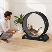 Cat Exercise Wheel, 31.5 in, Large Cat Running Wheel with Secure Brake & Carpeted Runway, Quiet Operation Cat V952-SLMPBJHSPP315IBR5V0