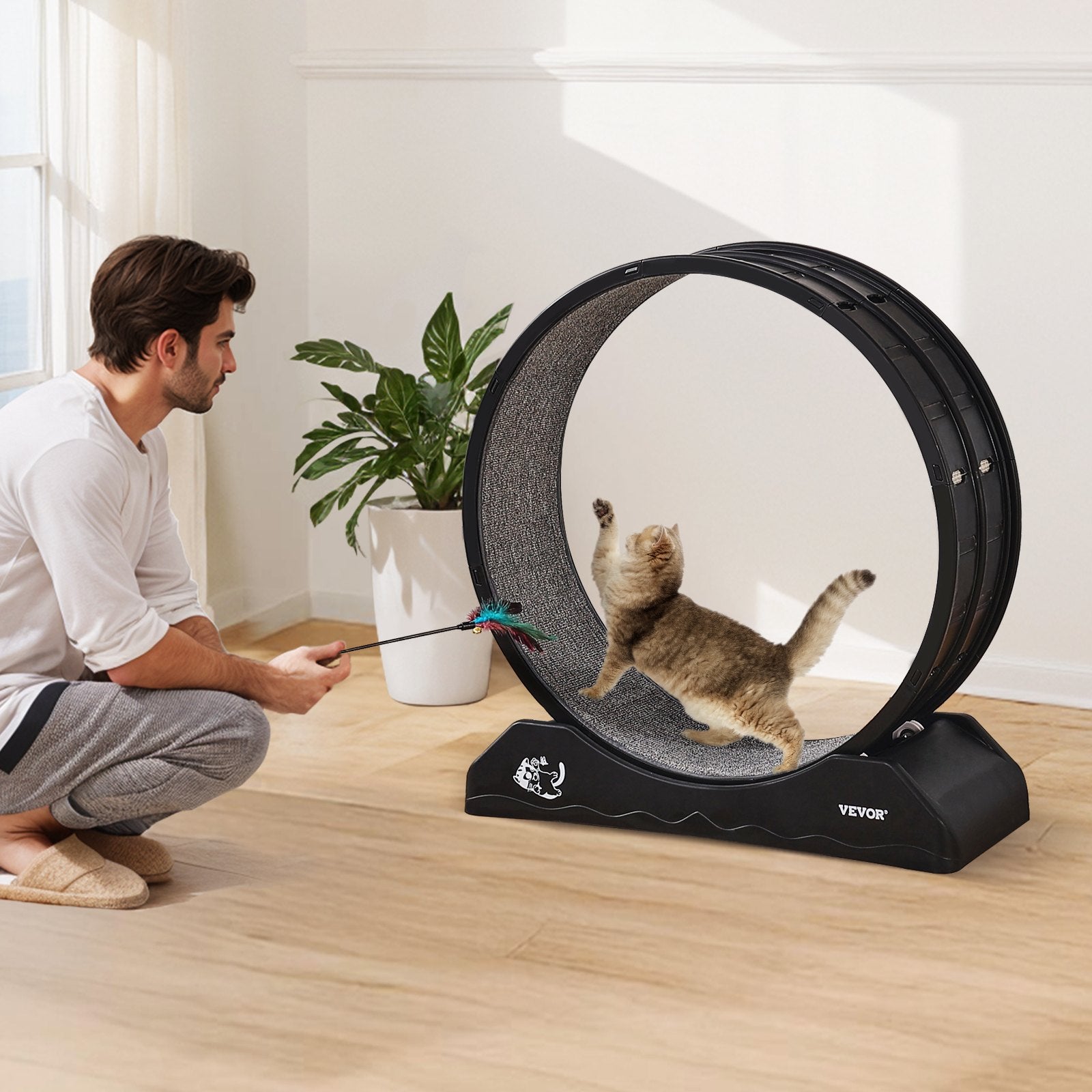 Cat Exercise Wheel, 31.5 in, Large Cat Running Wheel with Secure Brake & Carpeted Runway, Quiet Operation Cat V952-SLMPBJHSPP315IBR5V0