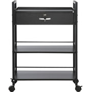 Beauty Salon Trolley Cart, 3-Tier Hair Salon Stations Cabinet for Stylist with Lockable Drawer, MDF Rolling V952-SLTCCTKHS1CMNOC7HV0