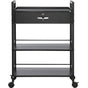 Beauty Salon Trolley Cart, 3-Tier Hair Salon Stations Cabinet for Stylist with Lockable Drawer, MDF Rolling V952-SLTCCTKHS1CMNOC7HV0