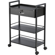 Beauty Salon Trolley Cart, 3-Tier Hair Salon Stations Cabinet for Stylist with Lockable Drawer, MDF Rolling V952-SLTCCTKHS1CMNOC7HV0