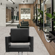 Salon Chair, Barber Chair for Hair Stylist, Styling Chair with Heavy Duty Hydraulic Pump, Swivel Hair Salon V952-SLYZ253143YCZWTDAV0