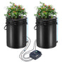 DWC Hydroponics Grow System Deep Water Culture with Top Drip 2 Buckets V952-SSSPXT2T8INK25VV5V3