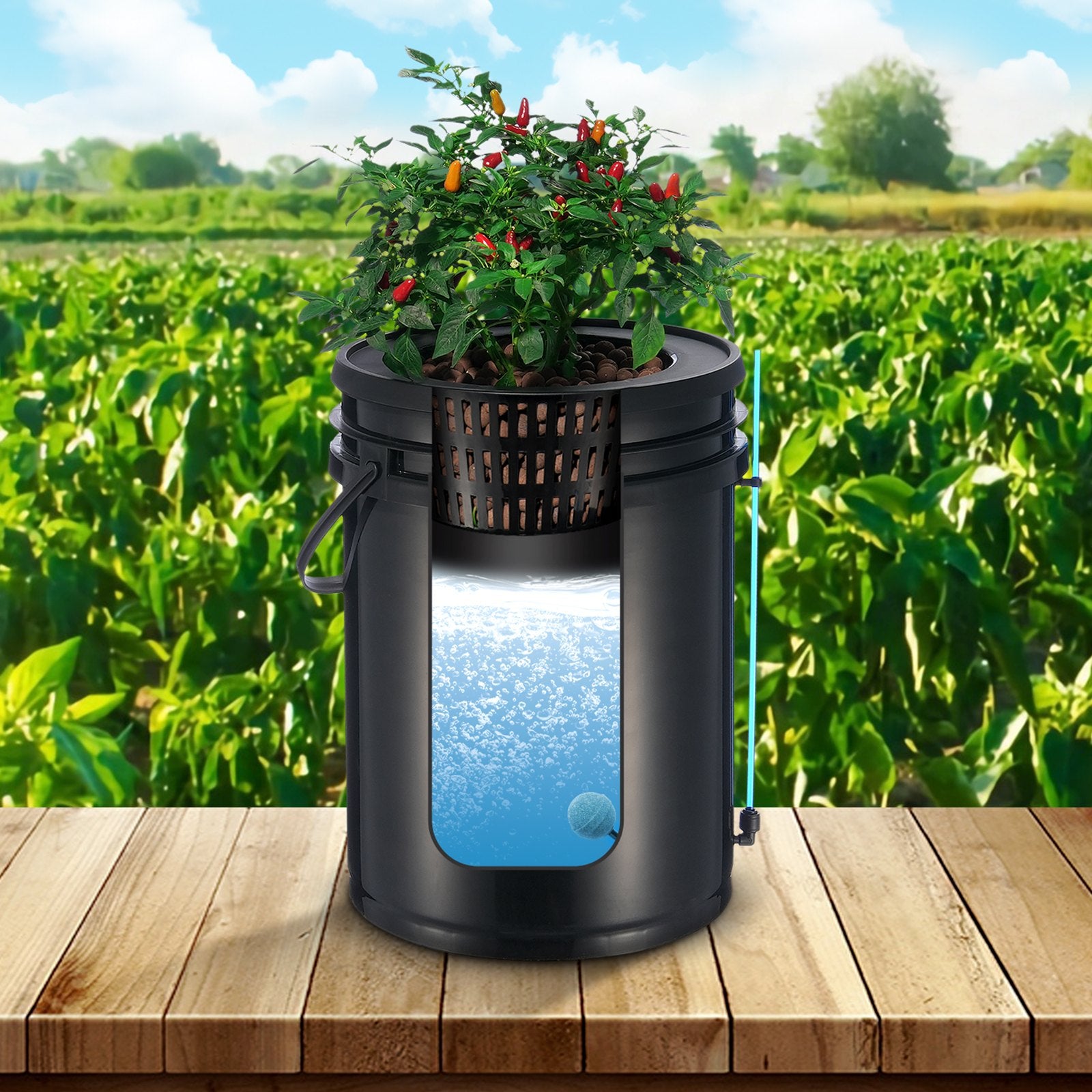 DWC Hydroponics Grow System Deep Water Culture with Top Drip 2 Buckets V952-SSSPXT2T8INK25VV5V3