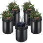 RDWC Hydroponics Grow System, Hydroponic Growing Kit with Top Drip, Recirculating Deep Water Culture 4 V952-SSSPXT41T8INE1FIBV3