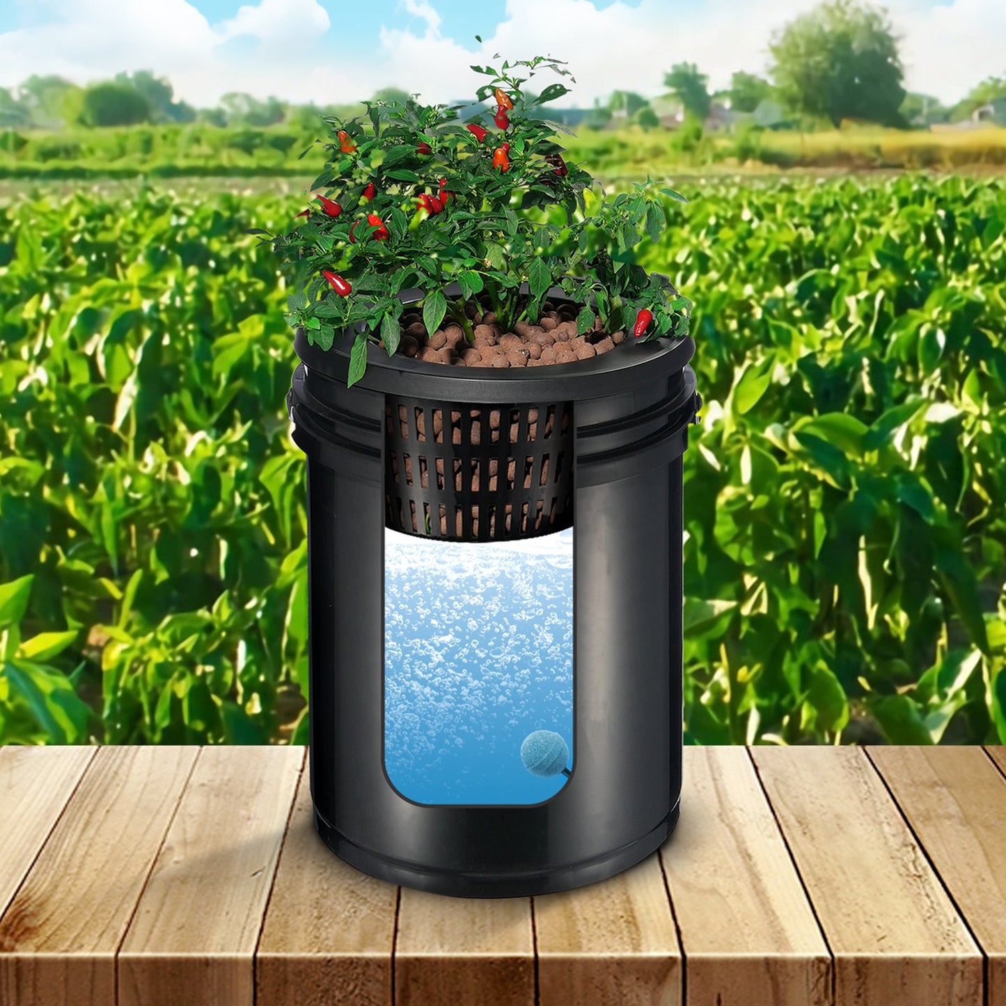 RDWC Hydroponics Grow System, Hydroponic Growing Kit with Top Drip, Recirculating Deep Water Culture 4 V952-SSSPXT41T8INE1FIBV3