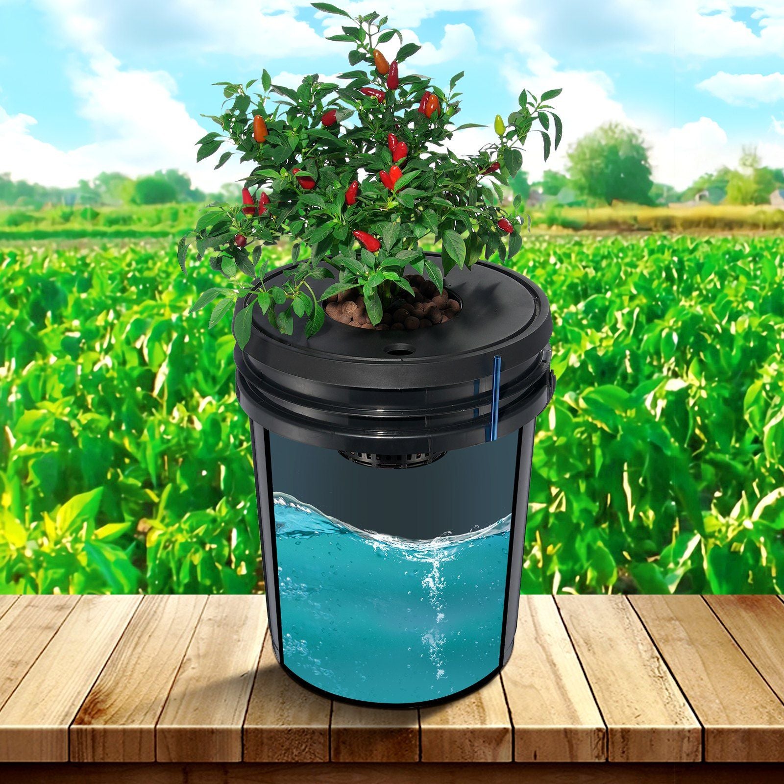DWC Hydroponics Grow System, Hydroponic Growing System, Deep Water Culture 5-Gallon 4 Buckets, DWC System V952-SSSPXTYX4110VW1XKV3