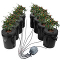 DWC Hydroponics Grow System Deep Water Culture 8 Buckets with Air Pump V952-SSSPXTYX8110VT55FV3