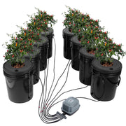 DWC Hydroponics Grow System Deep Water Culture 8 Buckets with Air Pump V952-SSSPXTYX8110VT55FV3