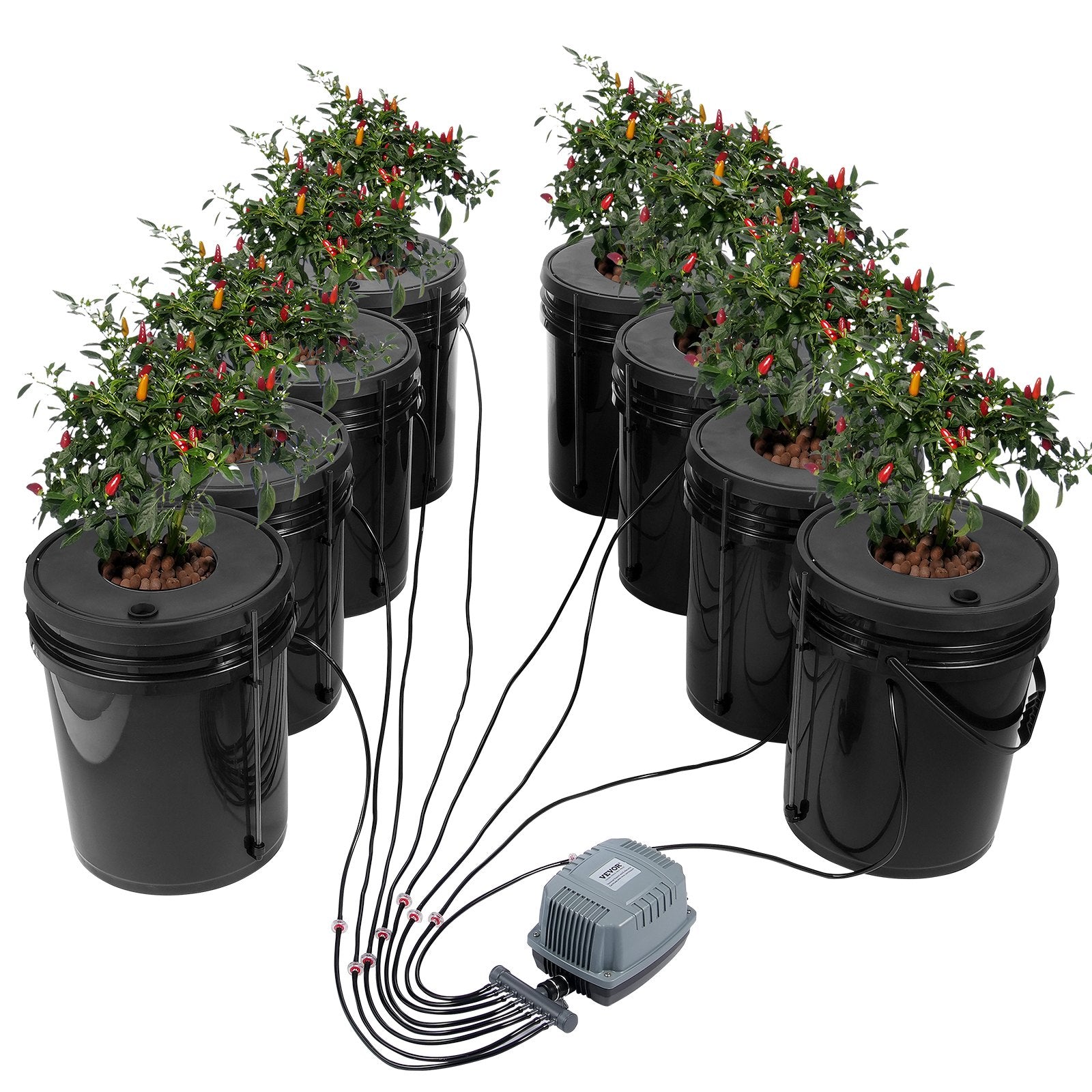 DWC Hydroponics Grow System Deep Water Culture 8 Buckets with Air Pump V952-SSSPXTYX8110VT55FV3