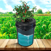 DWC Hydroponics Grow System Deep Water Culture 8 Buckets with Air Pump V952-SSSPXTYX8110VT55FV3