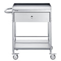 Medical Cart, 2 Layer stainless Steel Cart100 kg Weight Capacity Utility Cart Silent Wheels and a Drawer for V952-SYSSTCSB20124D3E4V0