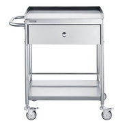 Medical Cart, 2 Layer stainless Steel Cart100 kg Weight Capacity Utility Cart Silent Wheels and a Drawer for V952-SYSSTCSB20124D3E4V0