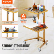 2 Tiers Stainless Steel Lab Carts with 2 Trays & 4 Silent Wheels Golden V952-SYSTCECKFYS4QES24V0