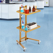 2 Tiers Stainless Steel Lab Carts with 2 Trays & 4 Silent Wheels Golden V952-SYSTCECKFYS4QES24V0