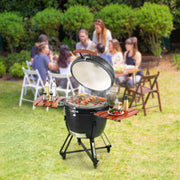 Portable Charcoal Grill, Propane Gas Grills with Cover and Cart, Heavy Duty Stainless Steel BBQ Grill, Mini V952-TCYXLYC243700Y92IV0