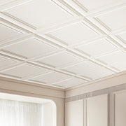 Ceiling Tiles, 16-Pack 20 x 20 in, Drop Ceiling Tiles Premium Polystyrene Sheet, Easy Installation/ Cutting V952-THBZPSB16J500WMY3V0