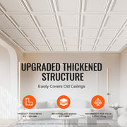 Ceiling Tiles 48-Pack 20 x 20 in Polystyrene Easy Installation Glue-up V952-THBZPSB48J5097TMWV0
