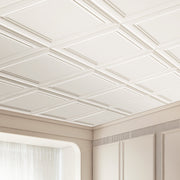 Ceiling Tiles 48-Pack 20 x 20 in Polystyrene Easy Installation Glue-up V952-THBZPSB48J5097TMWV0