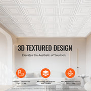 Ceiling Tiles 12-Pack 24 x 24 in PVC Easy Installation White Peg Pattern V952-THBZPVCB12J20JVLNV0