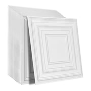 Ceiling Tiles 12-Pack 24 x 24 in PVC Easy Installation White Peg Pattern V952-THBZPVCB12J20JVLNV0