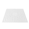 Ceiling Tiles 12-Pack 24 x 24 in PVC Easy Installation White Echo Pattern V952-THBZPVCB12J29DDRKV0