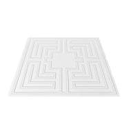 Ceiling Tiles 12-Pack 24 x 24 in PVC Easy Installation White Echo Pattern V952-THBZPVCB12J29DDRKV0
