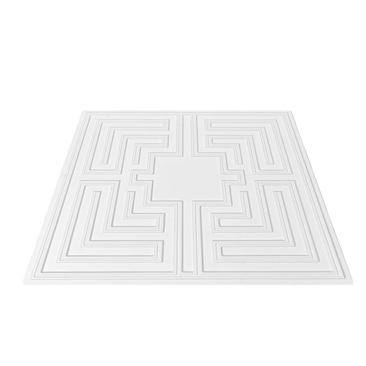 Ceiling Tiles 12-Pack 24 x 24 in PVC Easy Installation White Echo Pattern V952-THBZPVCB12J29DDRKV0