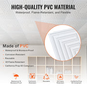 Ceiling Tiles 12-Pack 24 x 24 in PVC Easy Installation White Echo Pattern V952-THBZPVCB12J29DDRKV0