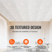 Ceiling Tiles 12-Pack 24 x 24 in PVC Easy Installation White Echo Pattern V952-THBZPVCB12J29DDRKV0