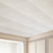 Ceiling Tiles 12-Pack 24 x 24 in PVC Easy Installation White Echo Pattern V952-THBZPVCB12J29DDRKV0