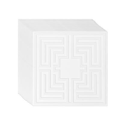 Ceiling Tiles 12-Pack 24 x 24 in PVC Easy Installation White Echo Pattern V952-THBZPVCB12J29DDRKV0