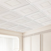Ceiling Tiles 12-Pack 24 x 24 in PVC Easy Installation White Geometric V952-THBZPVCB12J2BINQSV0