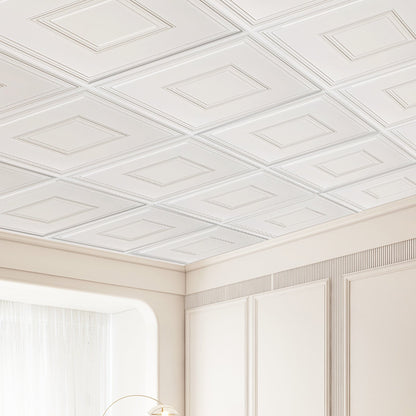 Ceiling Tiles 12-Pack 24 x 24 in PVC Easy Installation White Geometric V952-THBZPVCB12J2BINQSV0