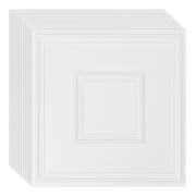 Ceiling Tiles 12-Pack 24 x 24 in PVC Easy Installation White Geometric V952-THBZPVCB12J2BINQSV0