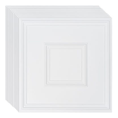 Ceiling Tiles 12-Pack 24 x 24 in PVC Easy Installation White Geometric V952-THBZPVCB12J2BINQSV0