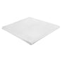 Greenhouse Plastic Sheeting 10 x 40 ft 6Mil Clear Polyethylene Film V952-TMWSM1040YCT9JGE8V0