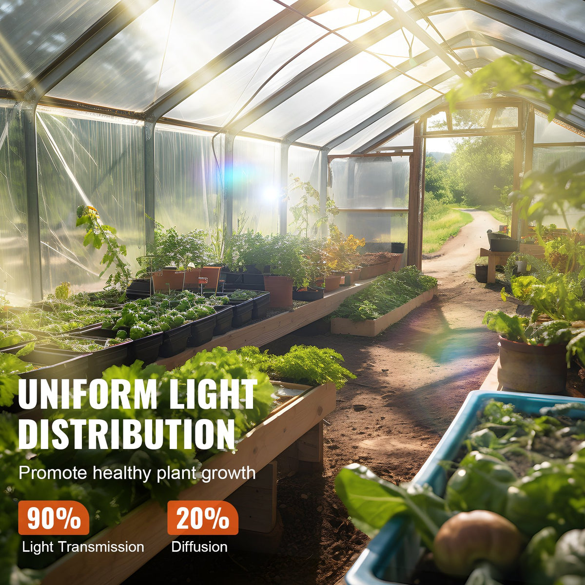 Greenhouse Plastic Sheeting 12 x 50 ft 6Mil Clear Polyethylene Film V952-TMWSM1250YCT3OY3CV0