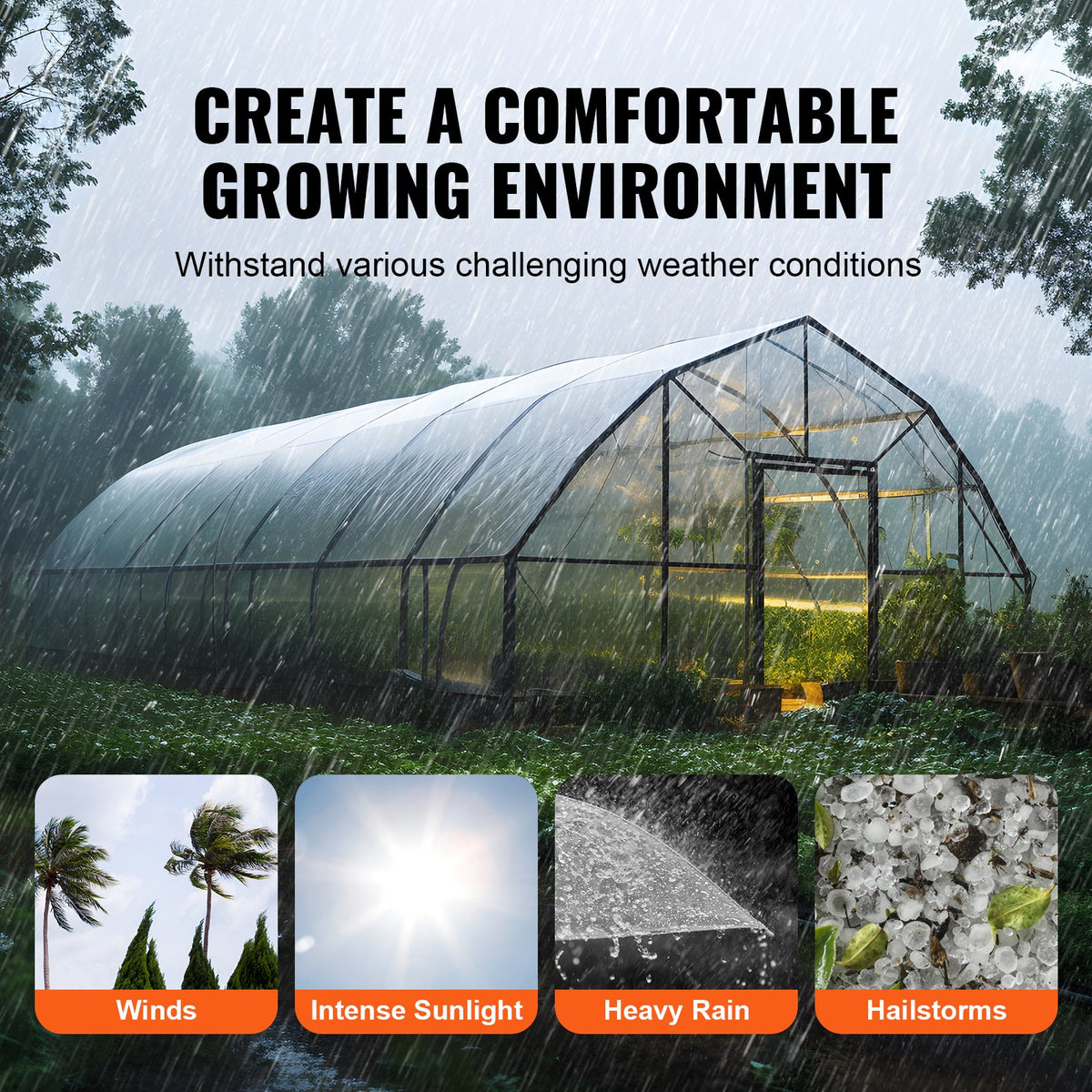 Greenhouse Plastic Sheeting 12 x 50 ft 6Mil Clear Polyethylene Film V952-TMWSM1250YCT3OY3CV0