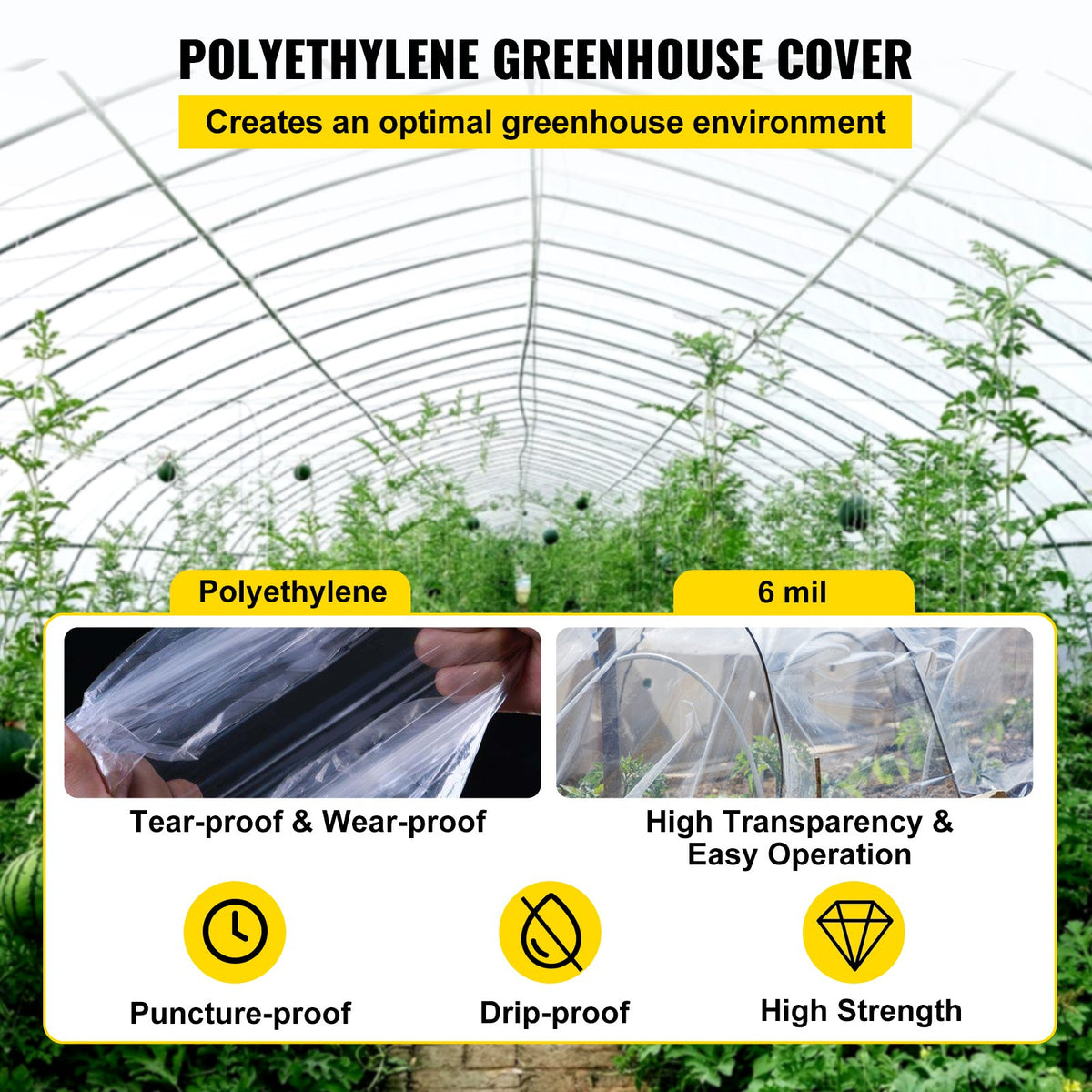 Greenhouse Film, 24\' x 100\' Greenhouse Plastic Sheeting, 6 mil Thickness Suncover Greenhouse, Clear V952-TMWSM24FT100FS1KWV0