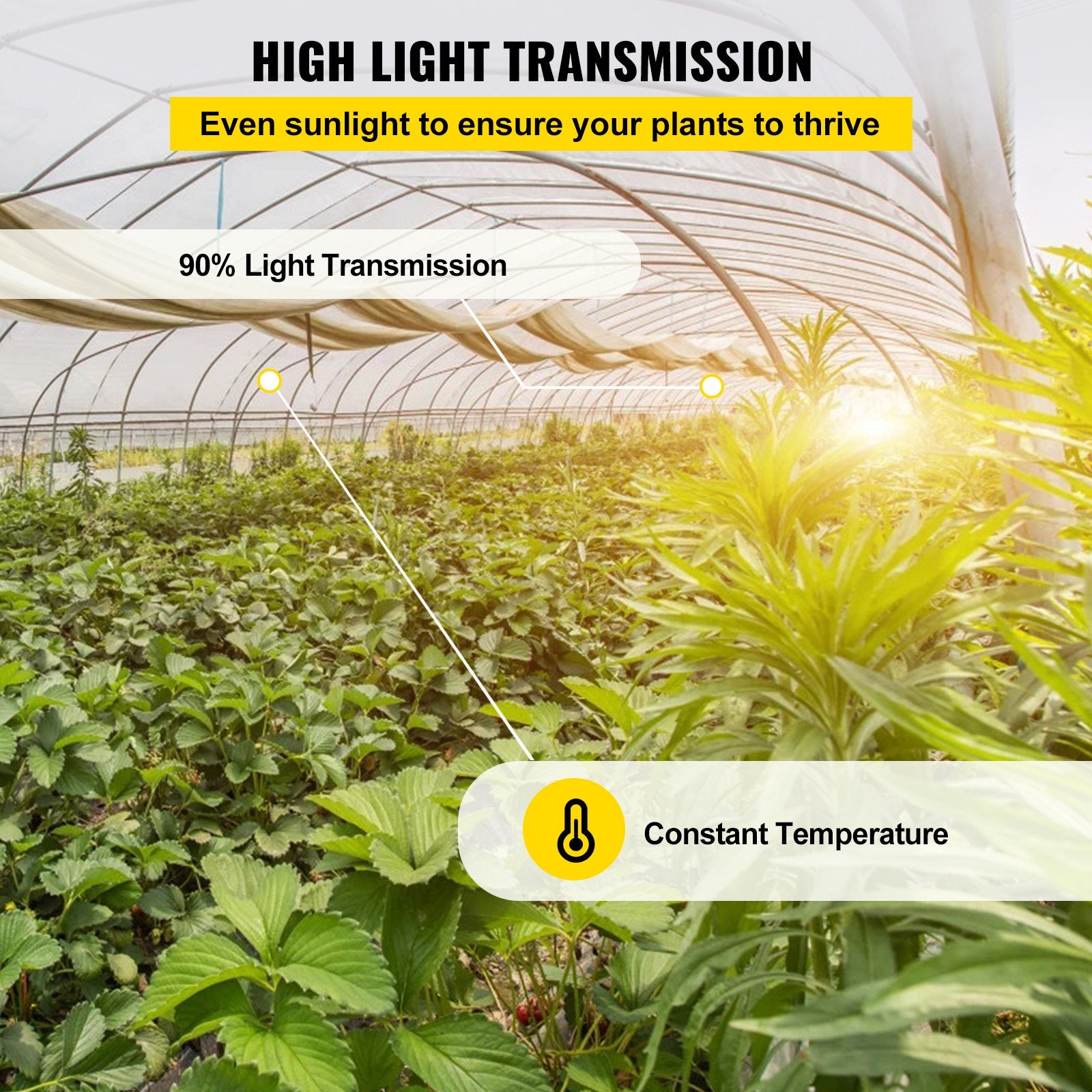 Greenhouse Film, 24\' x 100\' Greenhouse Plastic Sheeting, 6 mil Thickness Suncover Greenhouse, Clear V952-TMWSM24FT100FS1KWV0