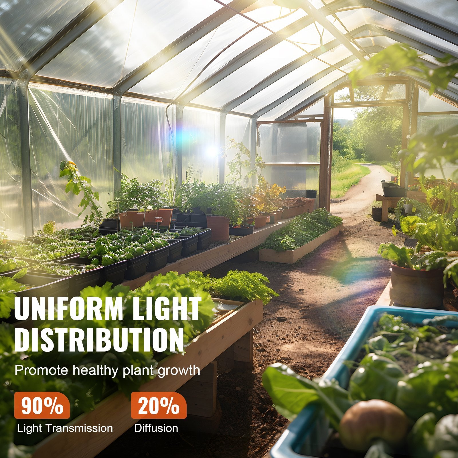 Greenhouse Plastic Sheeting 7.6 x 7.6 m, 6 Mil Thickness Clear Greenhouse Film, Polyethylene Film 4 Year UV V952-TMWSM2525YCTVR8ESV0