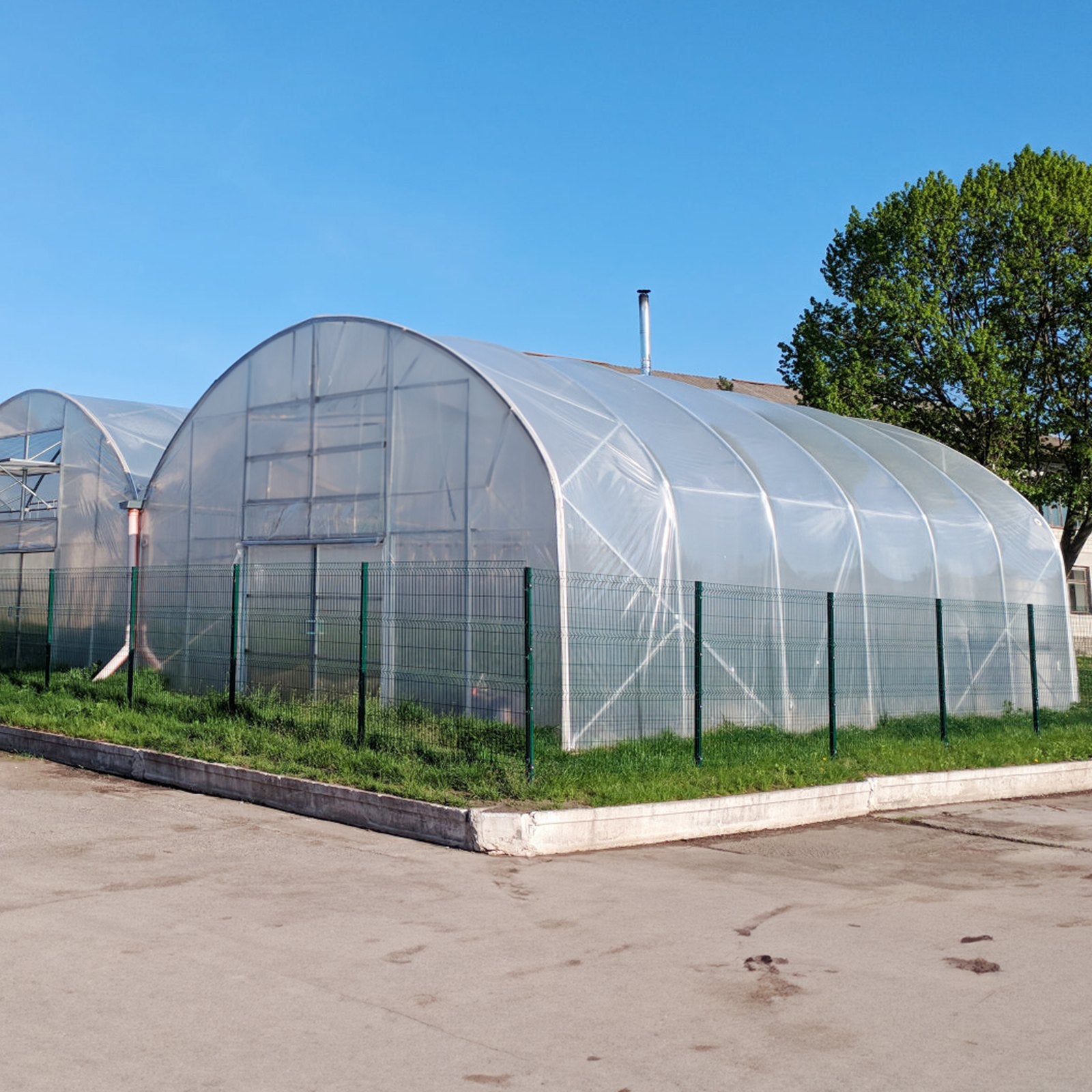 Greenhouse Plastic Sheeting 7.6 x 7.6 m, 6 Mil Thickness Clear Greenhouse Film, Polyethylene Film 4 Year UV V952-TMWSM2525YCTVR8ESV0