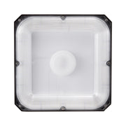 4 Pack LED Canopy Lights 80W 8800LM 5000K Daylight Outdoor Canopy Lighting V952-TPDDS80W4JT0CK09FV7
